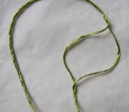 closeup of Chinese Silk Floss